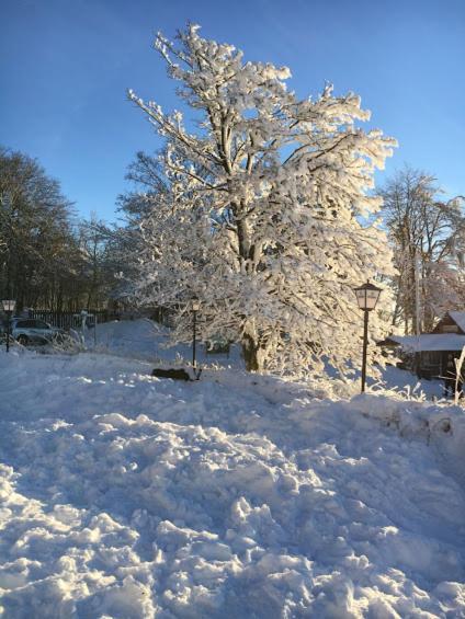 Berggasthof Zum Steira Schotten Kültér fotó